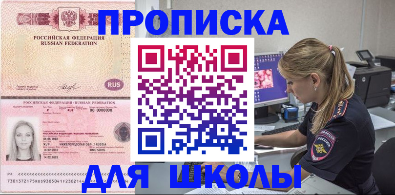 пропишу в квартире в Светлогорске